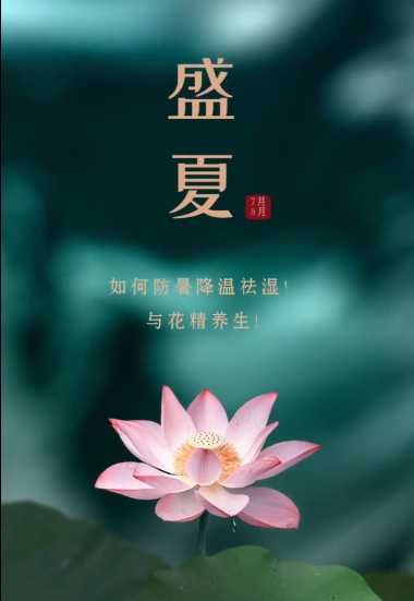 小暑&大暑