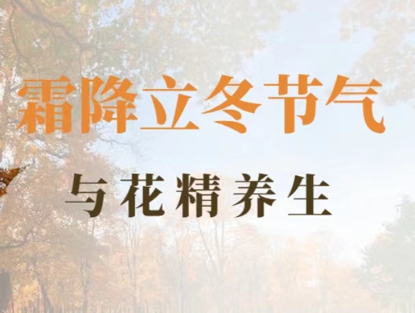 霜降&立冬