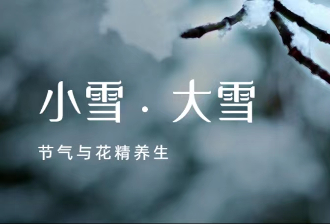小雪&大雪