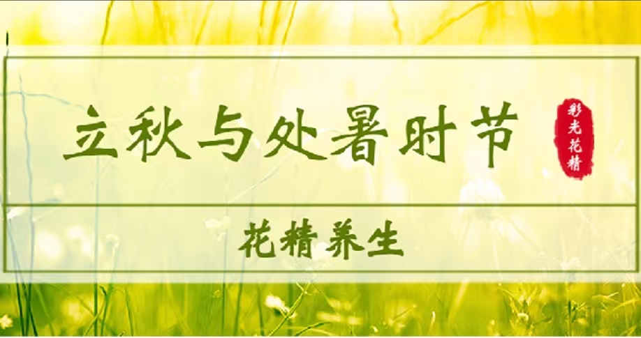 立秋&处暑